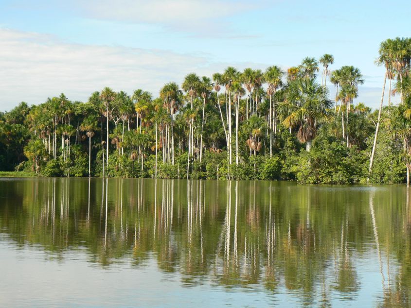 Across Lake Sandoval